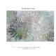 Affreschi & Affreschi | Aloha | AH 068