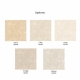 Arte | Essentials Kaolin | Calcaire Stucco I