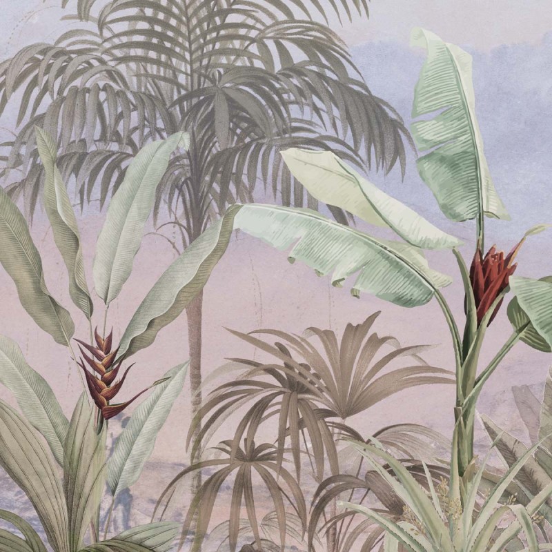 Honpo | Anabo Tropical