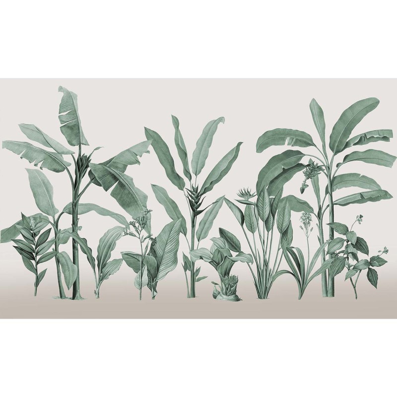 Honpo | Botanical
