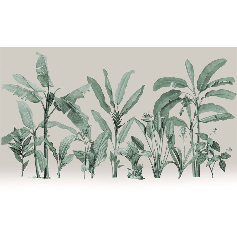 Honpo | Botanical
