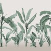 Honpo | Botanical