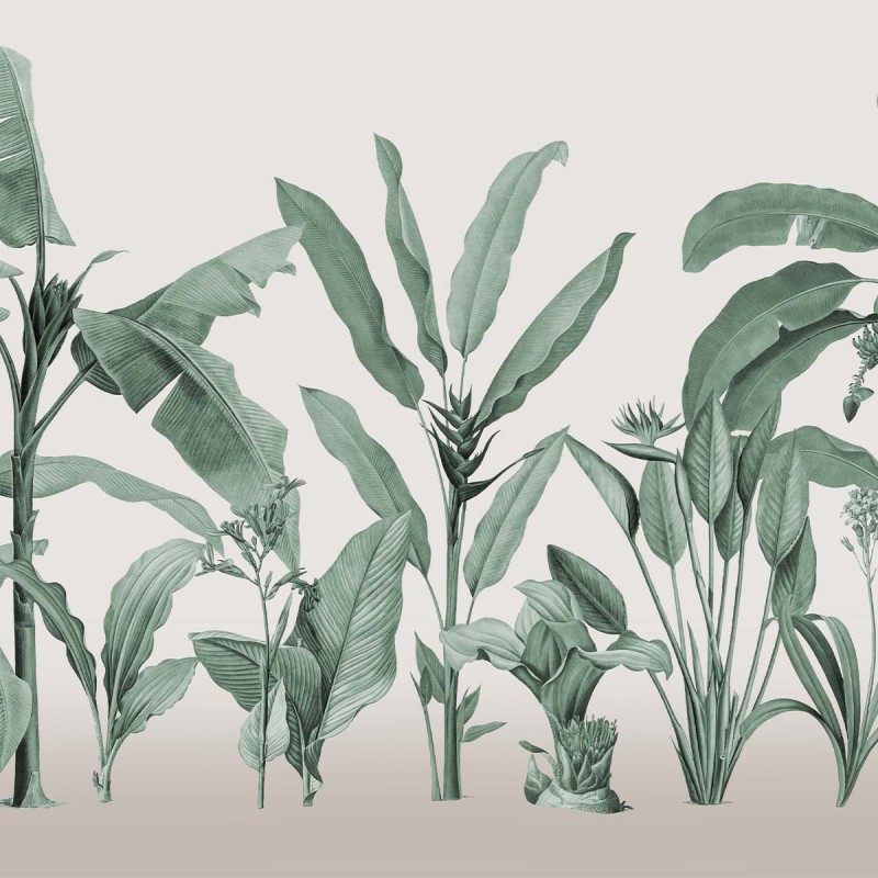 Honpo | Botanical
