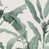Honpo | Botanical