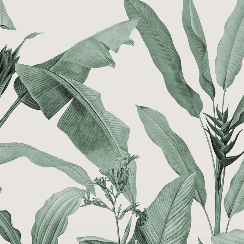 Honpo | Botanical