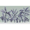 Honpo | Botanical