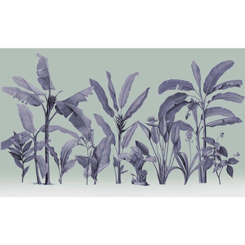 Honpo | Botanical