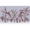 Honpo | Botanical