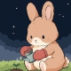 Honpo | Bunny’s Wish Under the Stars