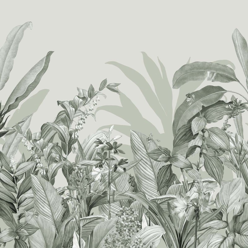 Honpo | Biophilia Fern