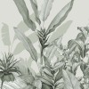 Honpo | Biophilia Fern