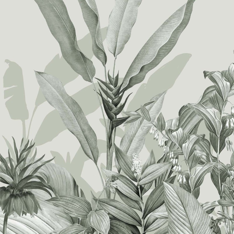 Honpo | Biophilia Fern
