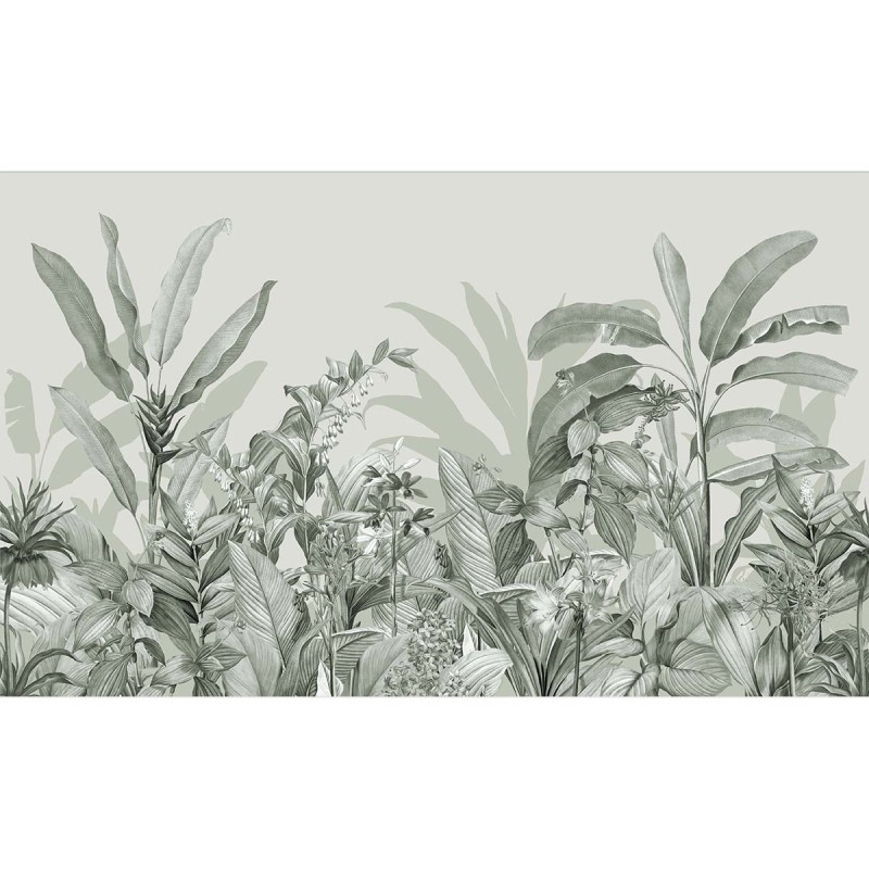 Honpo | Biophilia Fern