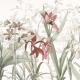 Honpo | Tropical Charm