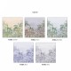 Honpo | Anabo Tropical