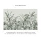Honpo | Biophilia Fern