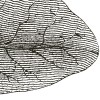Rimura | Giant Leaves