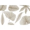 Rimura | Giant Leaves