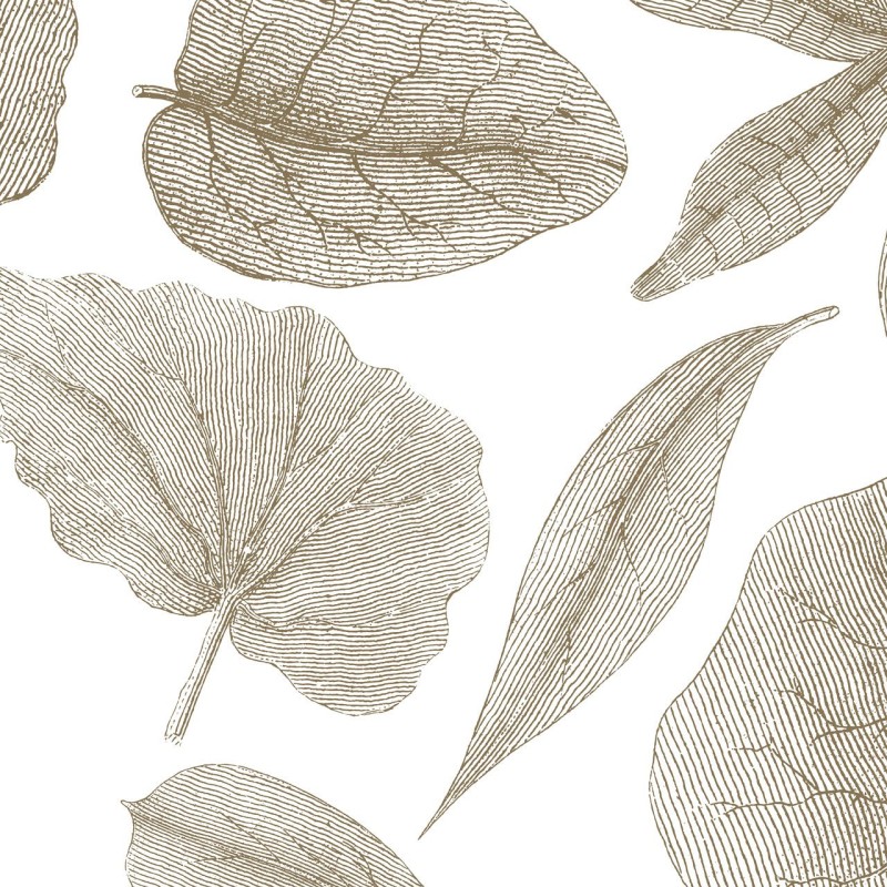 Rimura | Giant Leaves
