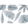 Rimura | Giant Leaves