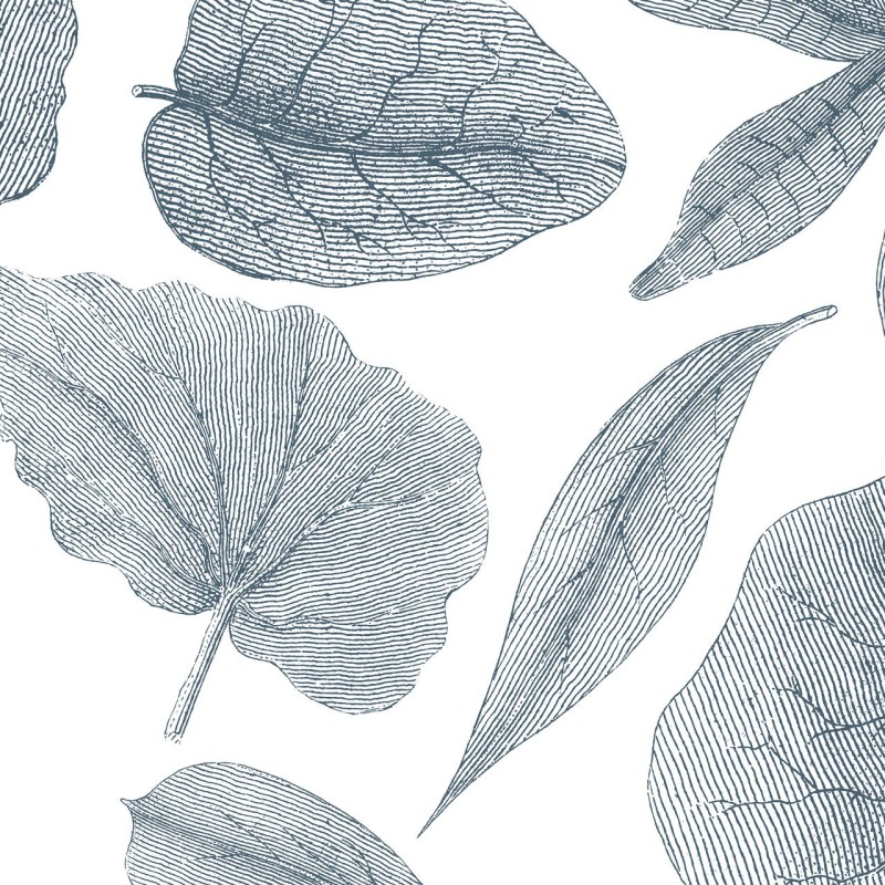 Rimura | Giant Leaves