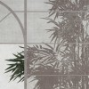 Rimura | Hivernacle