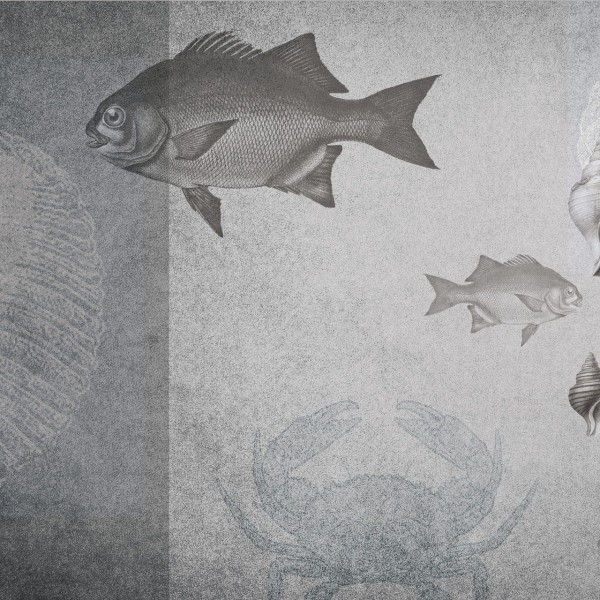 Rimura | Il Mare