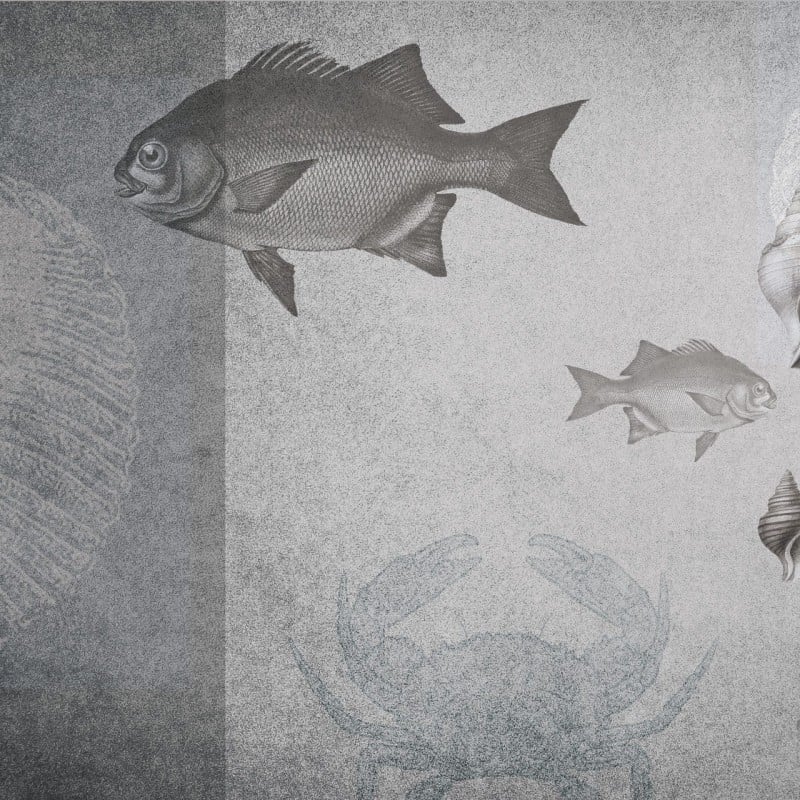 Rimura | Il Mare