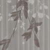Rimura | Jasmine