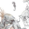 Rimura | Corallina