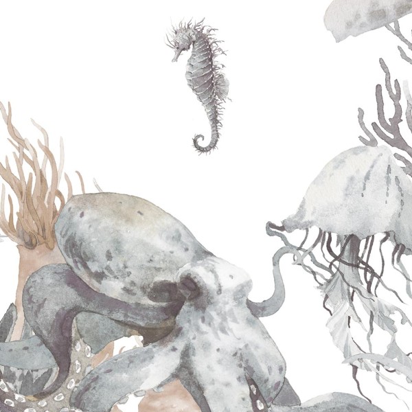 Rimura | Corallina