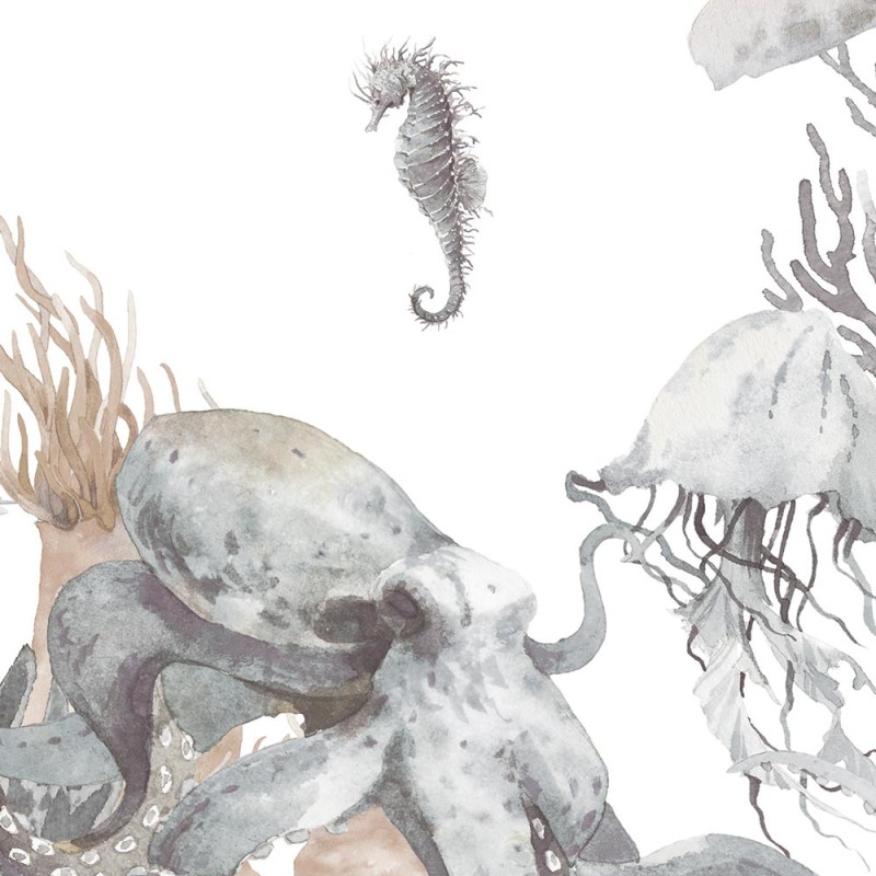 Rimura | Corallina