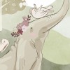 Rimura | Elephant Hill