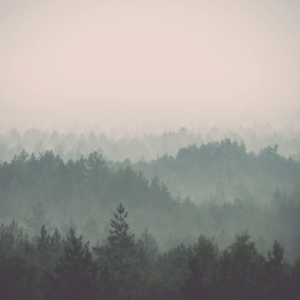 Rimura | Foresta Nera
