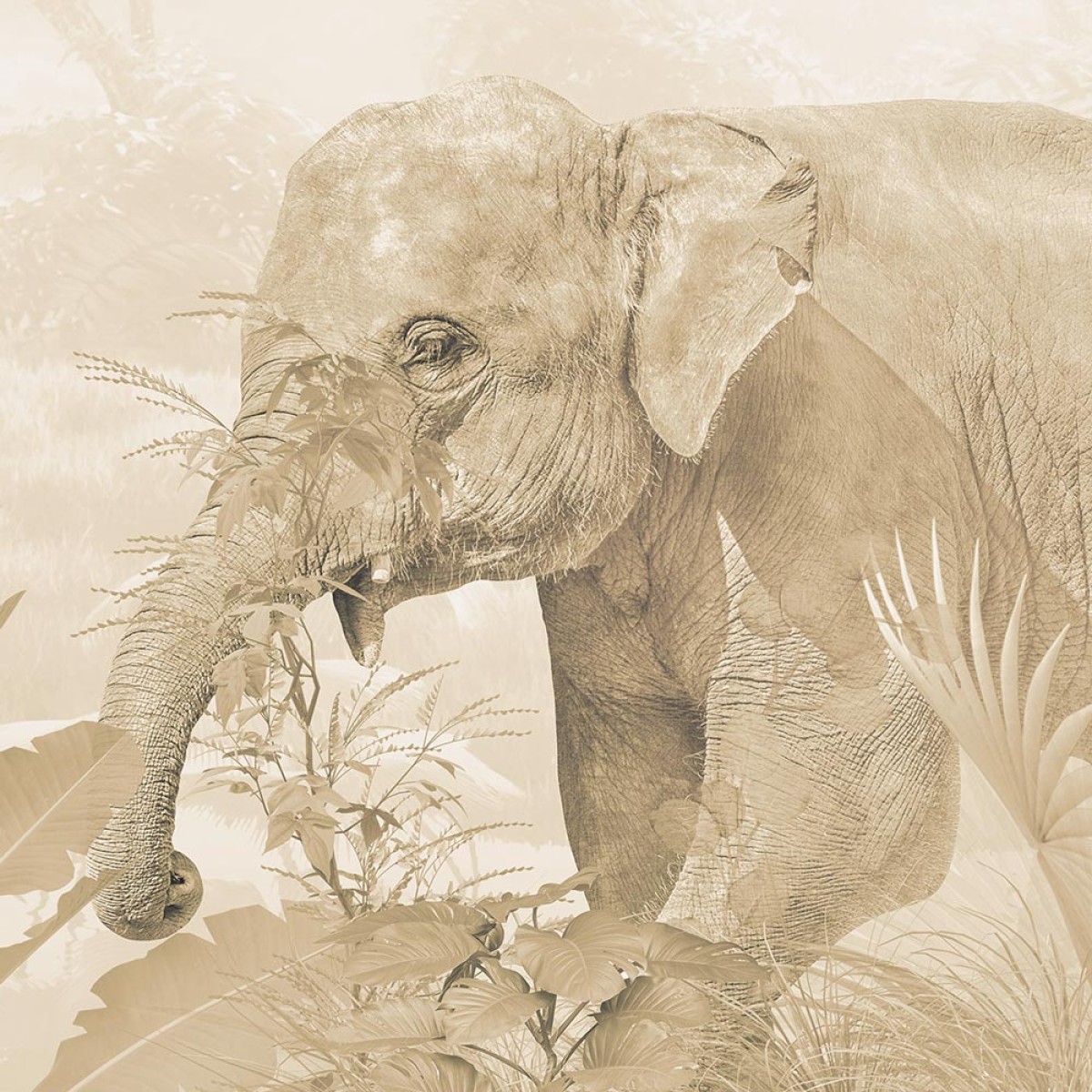 Rimura | Giungla Tropicale