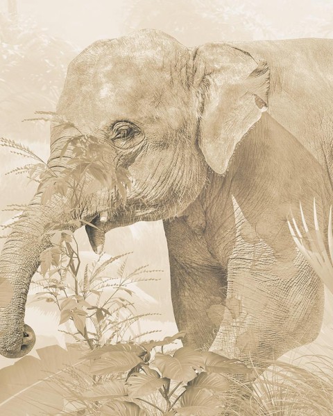 Rimura | Giungla Tropicale