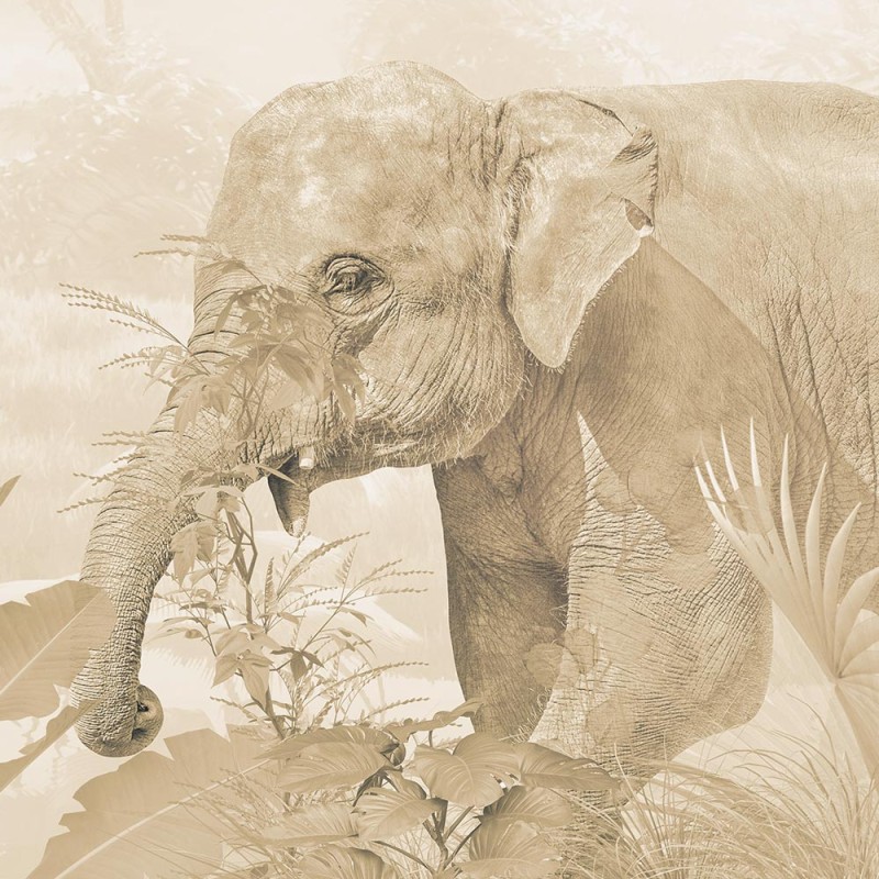 Rimura | Giungla Tropicale