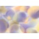 Affreschi & Affreschi | Flo | Fable | KR0402