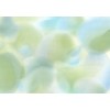 Affreschi & Affreschi | Flo | Fable | KR0402