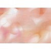 Affreschi & Affreschi | Flo | Fluida | KR0902
