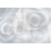 Affreschi & Affreschi | Flo | Flora | KR0502