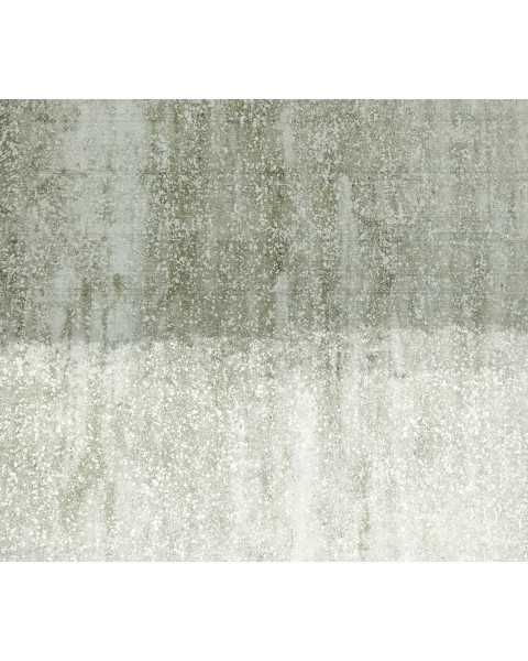 Affreschi & Affreschi | Landscapes | FN0301