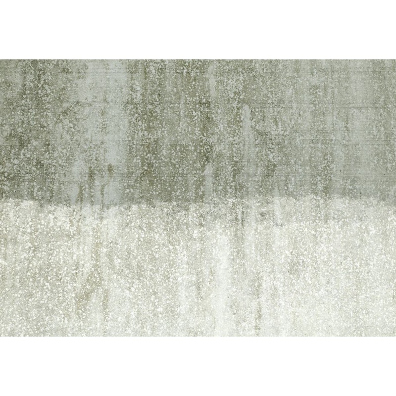 Affreschi & Affreschi | Landscapes | FN0301