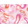 Affreschi & Affreschi | Flo | Feather | KR0101