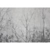 Affreschi & Affreschi | Shadows | SH04