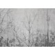 Affreschi & Affreschi | Shadows | SH04