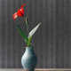 Runon | C23-2095