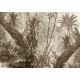 Affreschi & Affreschi | Aloha | AH 104