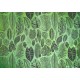 Affreschi & Affreschi | Aloha | AH 013