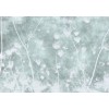 Affreschi & Affreschi | About You | AY 027